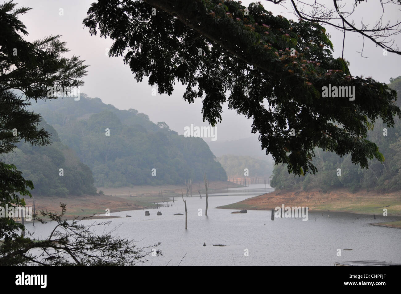 Der Nebel hebt langsam über das Reservoir an Mullaperiyar Thekkady Stockfoto