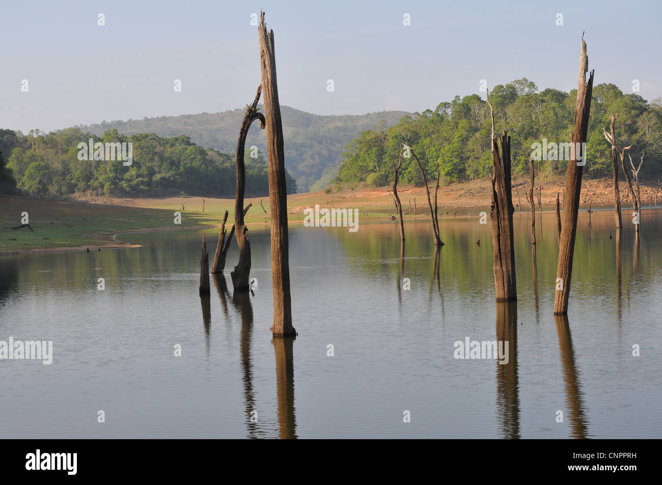 Mullaperiyar dam Wasser-Reservoir in der Periyar Tierwelt Wallfahrtskirche in Kerala, Indien Stockfoto