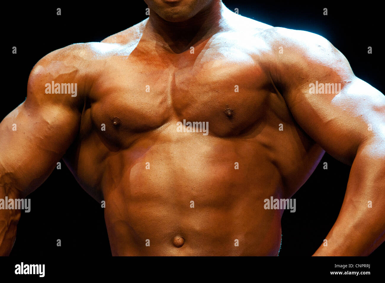 Detail von einem männlichen Bodybuilder während der Fitness-Messe FIBO in Essen, Deutschland, 2012. Stockfoto
