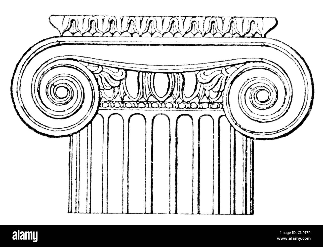 Ionischen Ordnung. Tempel von Priene. Stockfoto