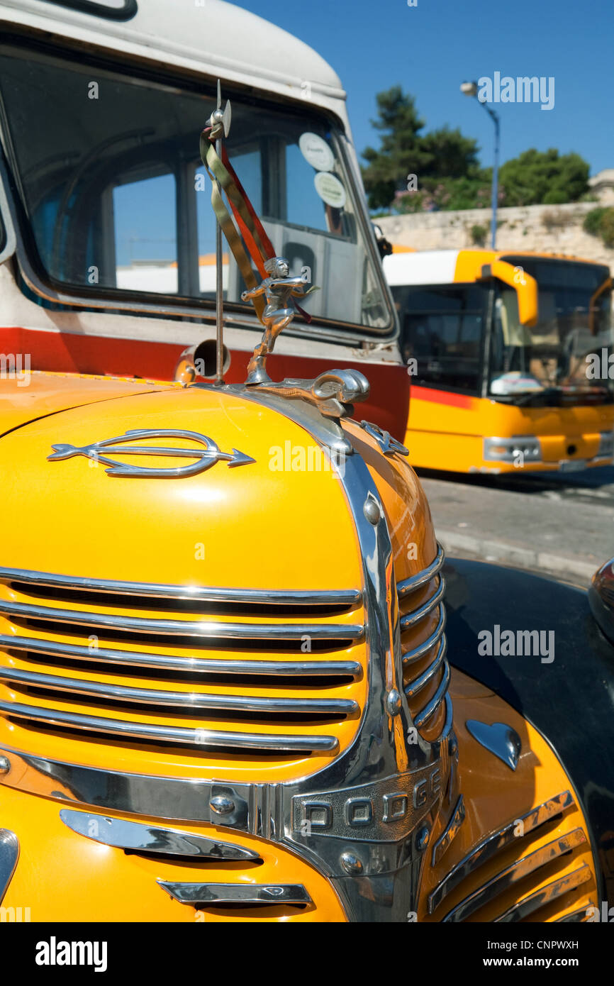Traditionellen gelben Busse, Valletta, Malta, Europa Stockfoto