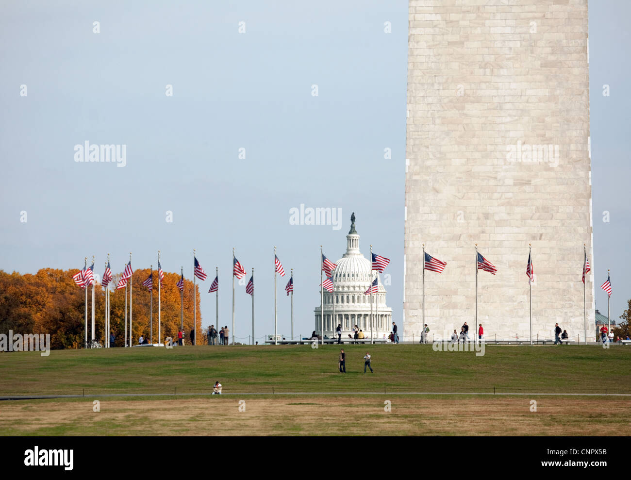 Das Denkmal und Capitol Gebäude, die National Mall, Washington DC USA Stockfoto