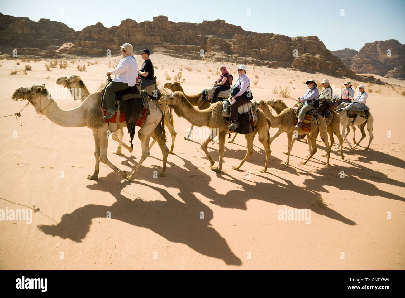 Jordan Touristen; im mittleren Alter Menschen reiten Kamele in der Wüste Wadi Rum, Jordanien Naher Osten Stockfoto