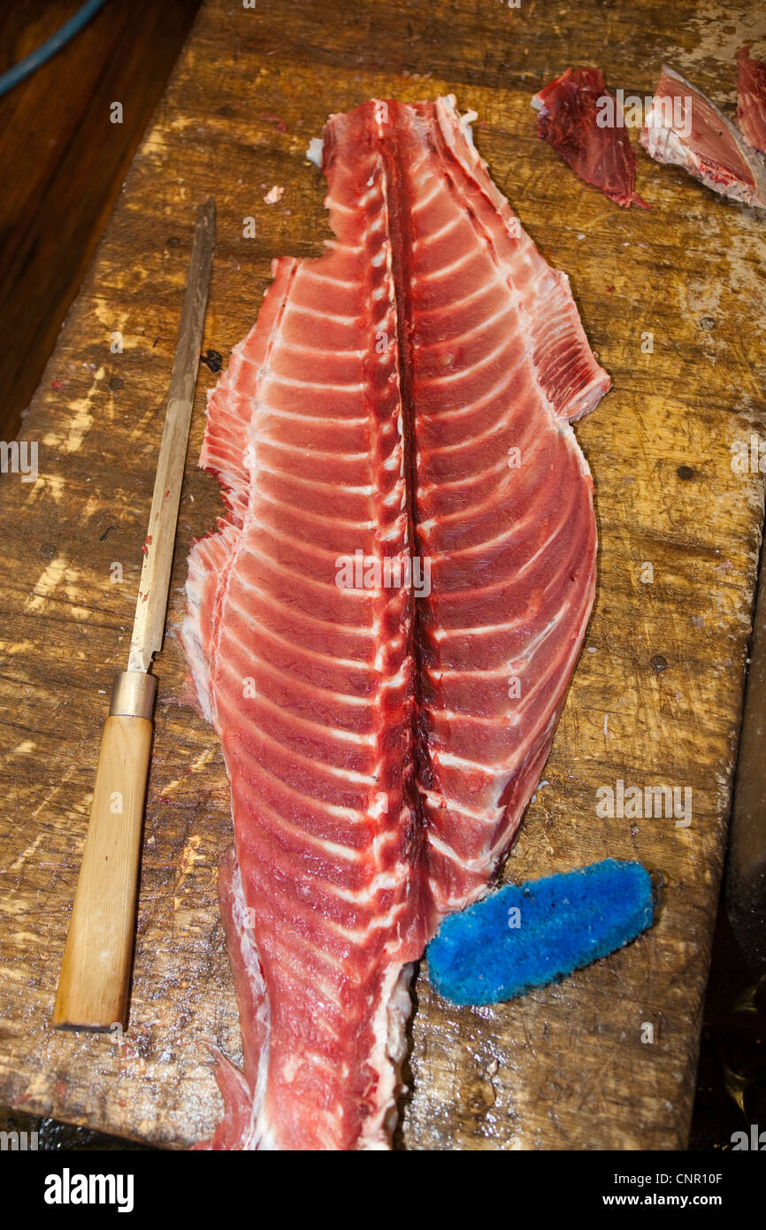 Thunfisch Karkasse Tsukiji Großhandel Fisch Markt Tokio Japan Stockfoto