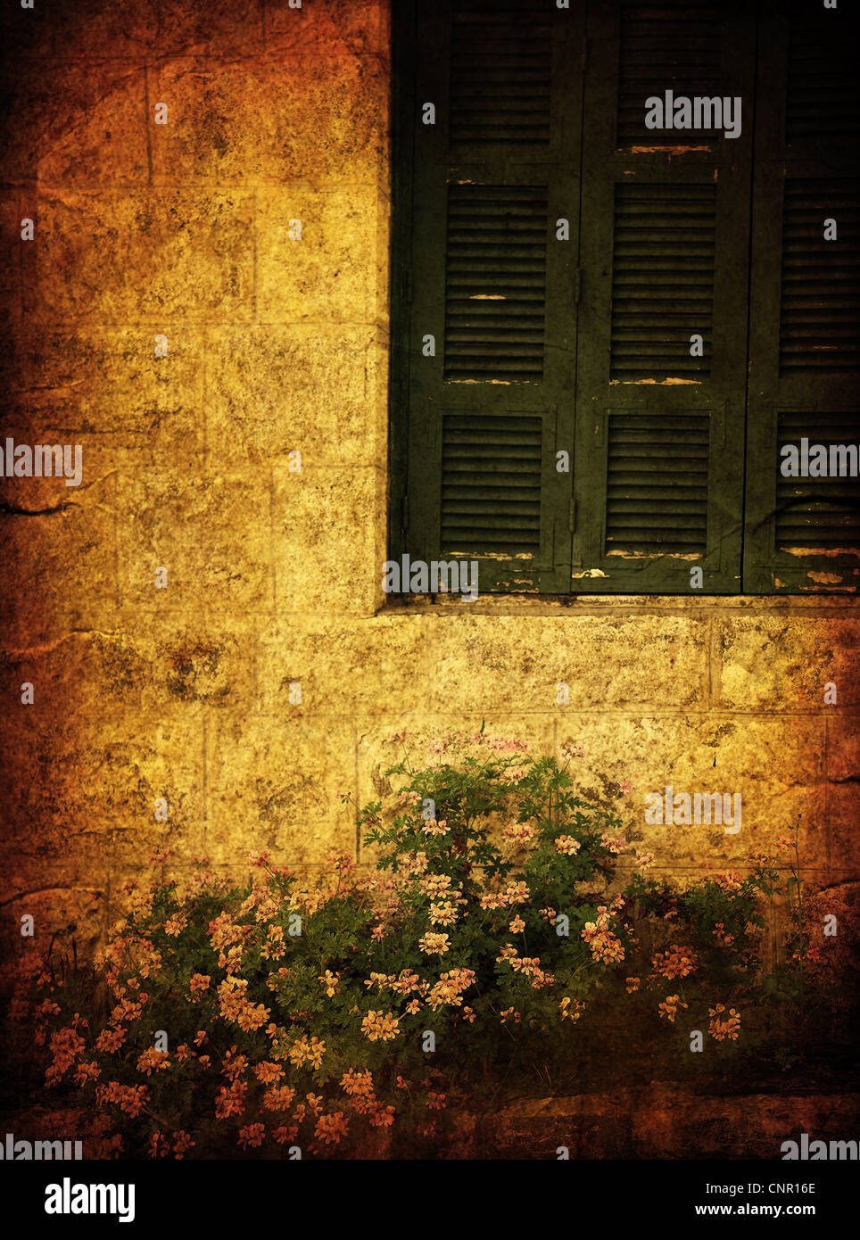 Altes Haus Grunge Foto des Fensters & Blumen Stockfoto