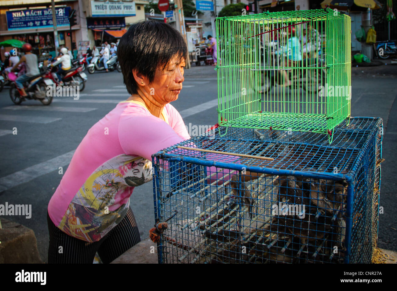 Frau in Saigon Verkauf von in Gefangenschaft gehaltenen Vögeln für Buddhistische feierliche Freigabe Stockfoto