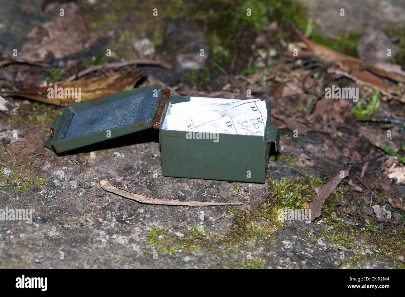 Geocache-Container mit Logbuch versteckt auf den Azoren, Portugal - Mini-Munitionsbox Geocache-Container für die Schatzsuche Stockfoto