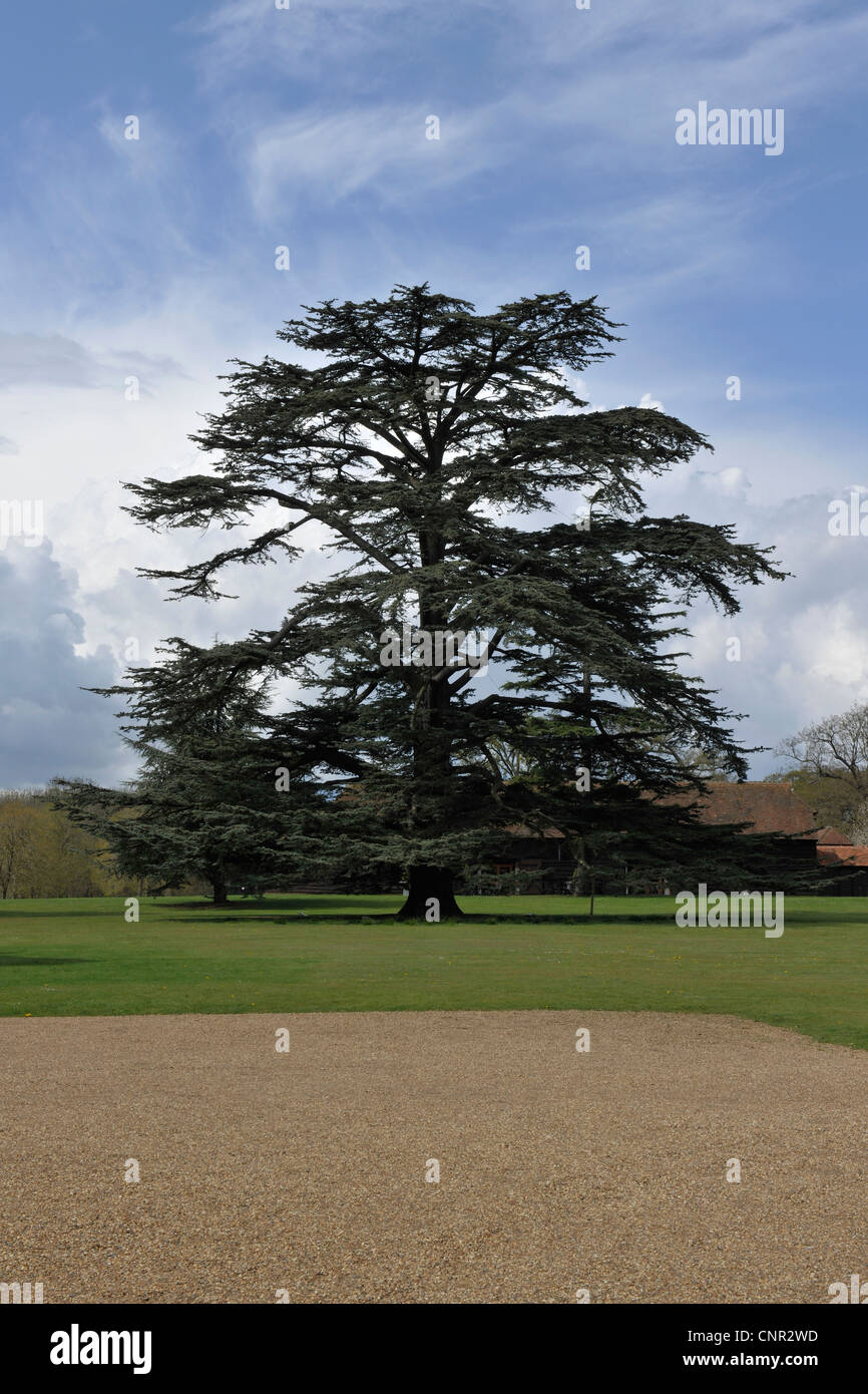 Loseley Park, Guildford, Surrey -1 Stockfoto