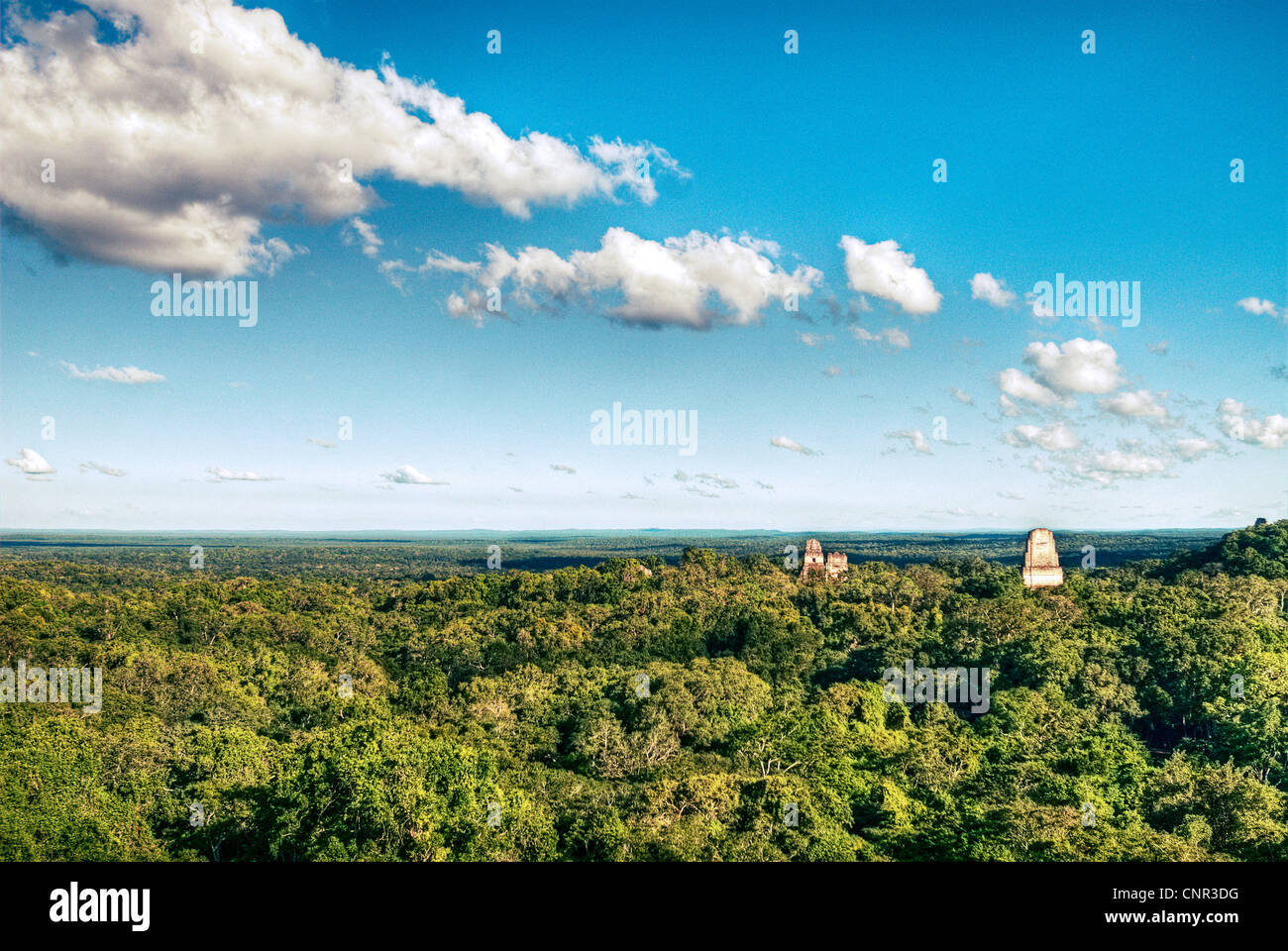 Anzeigen von Tikal Tempel I, II, III, V und Tropenwald des Tikal National Park vom Tempel IV. Stockfoto