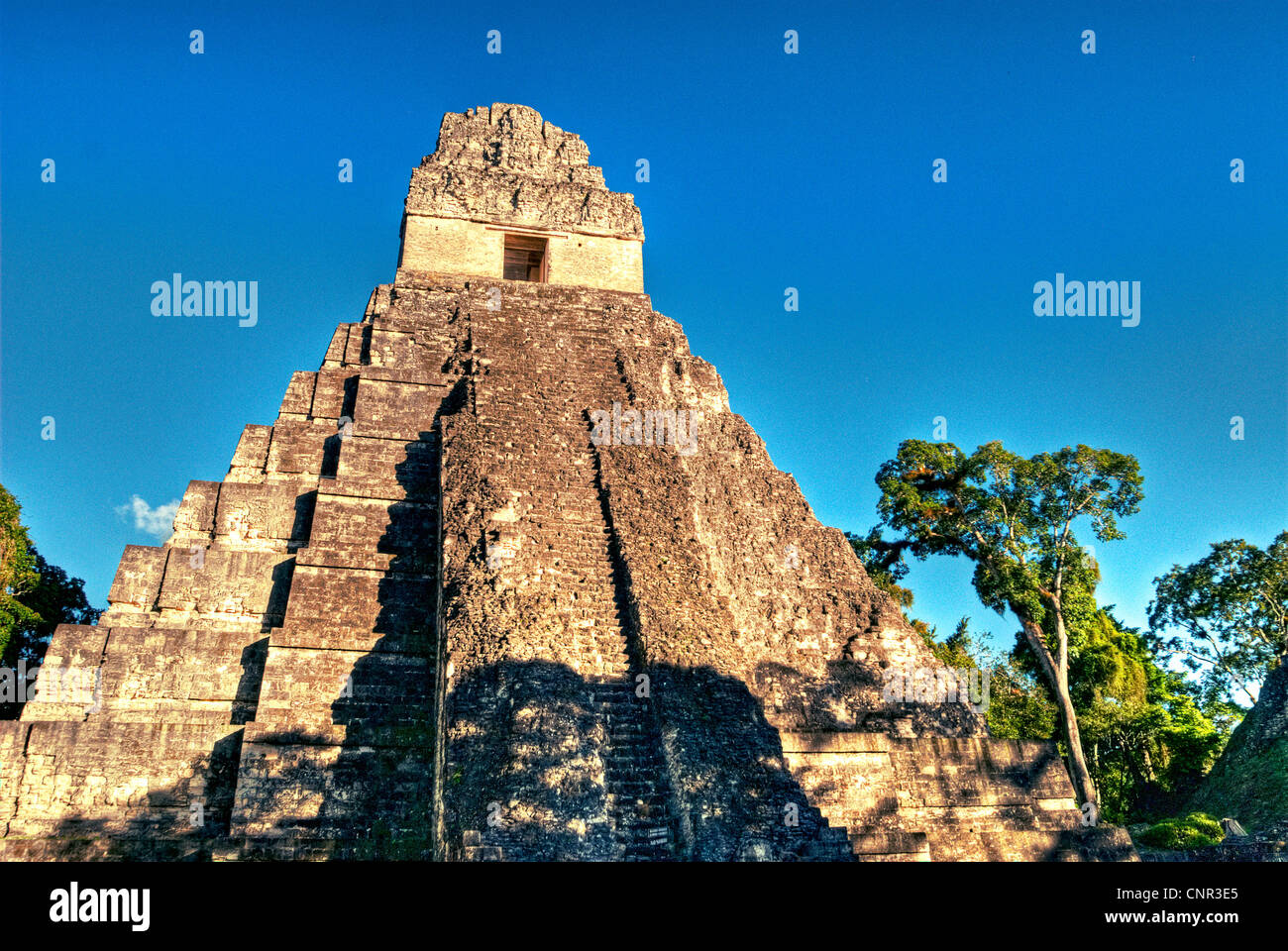 Tikals Tempel ich. Stockfoto