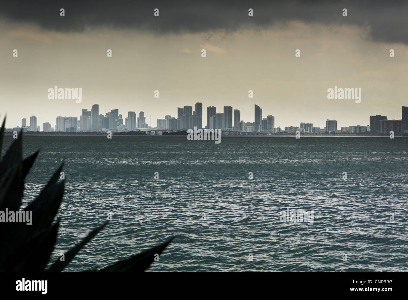 MIAMI SKYLINE MIAMI FLORIDA Stockfoto