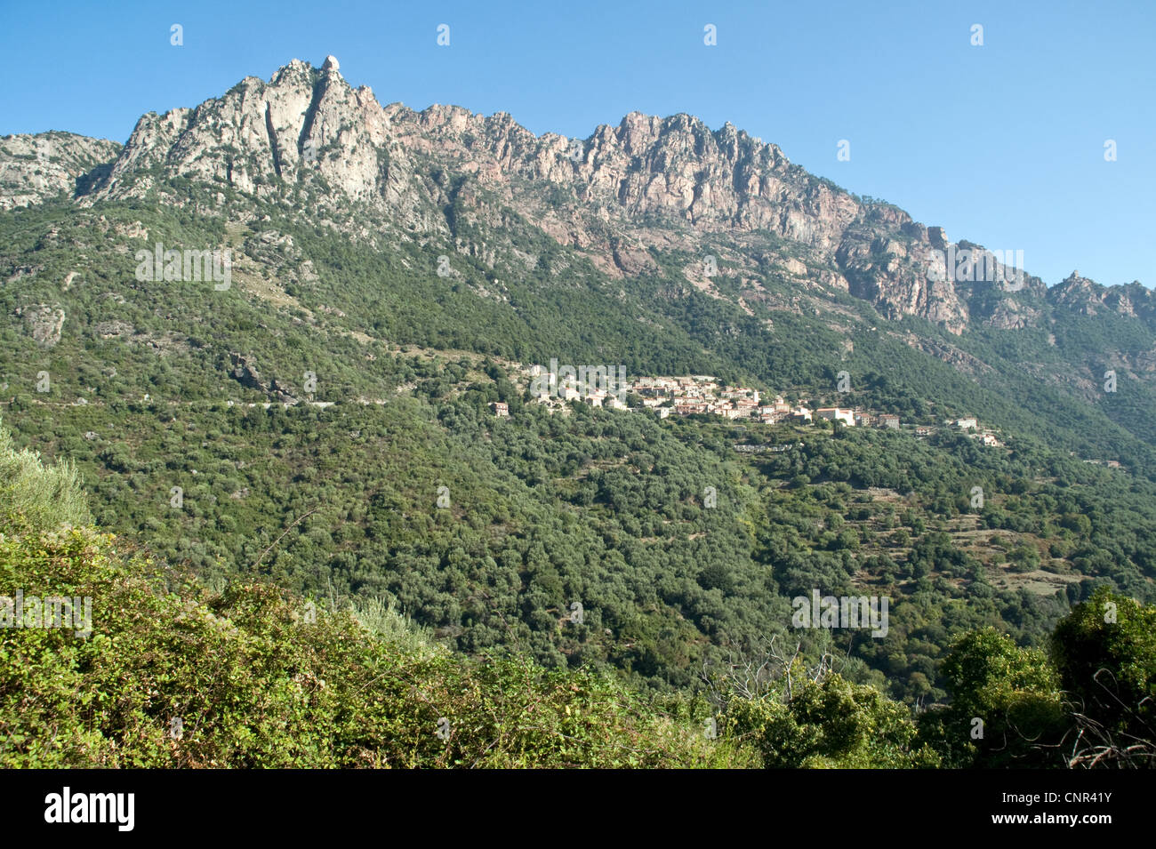 Blick auf das korsische Bergdorf Ota und den umliegenden Eichenwald, an der Westküste der Insel Korsika, Frankreich. Stockfoto