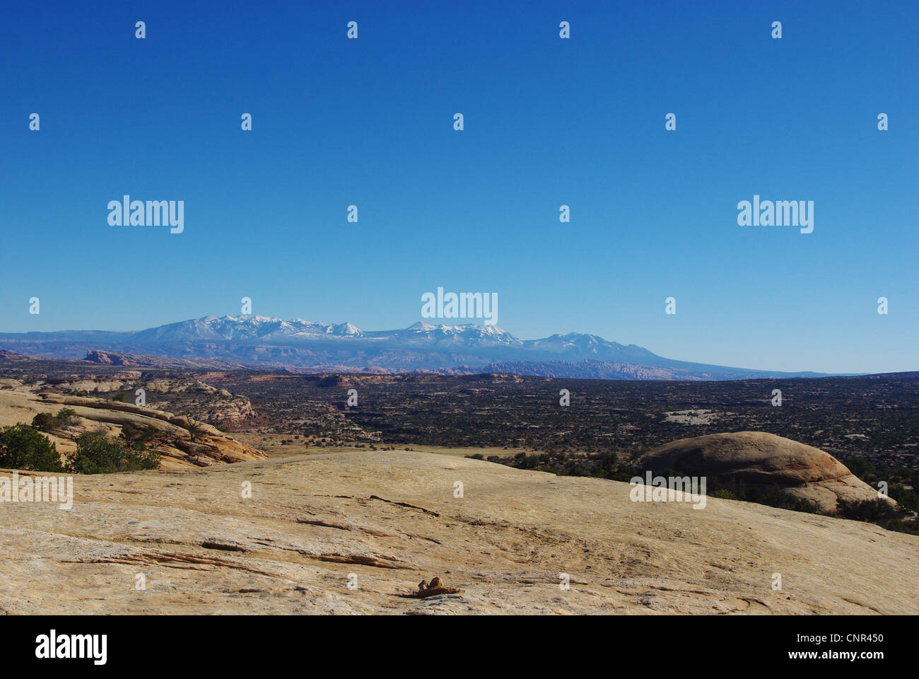 Felsen, Hochebenen und Manti La Sal Mountains, Utah Stockfoto