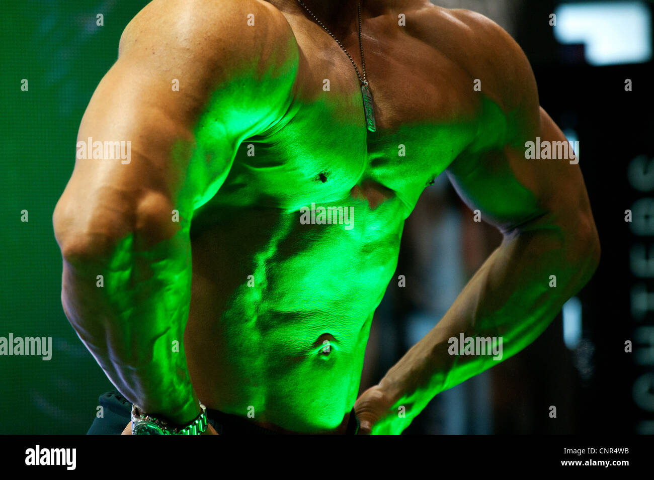 Detail von einem männlichen Bodybuilder während der Fitness-Messe FIBO in Essen, Deutschland, 2012. Stockfoto
