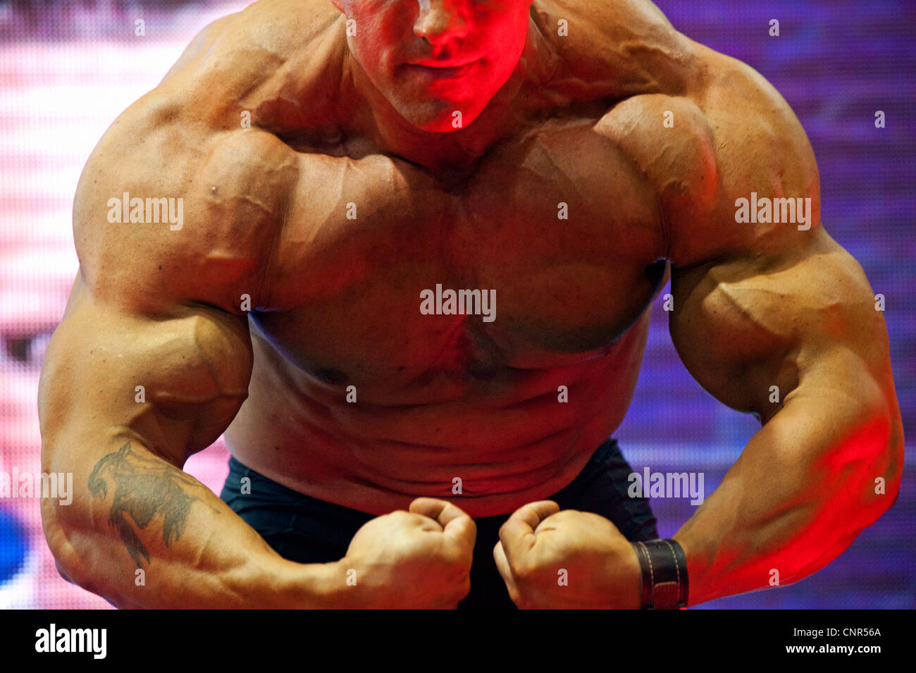 Detail von einem männlichen Bodybuilder während der Fitness-Messe FIBO in Essen, Deutschland, 2012. Stockfoto