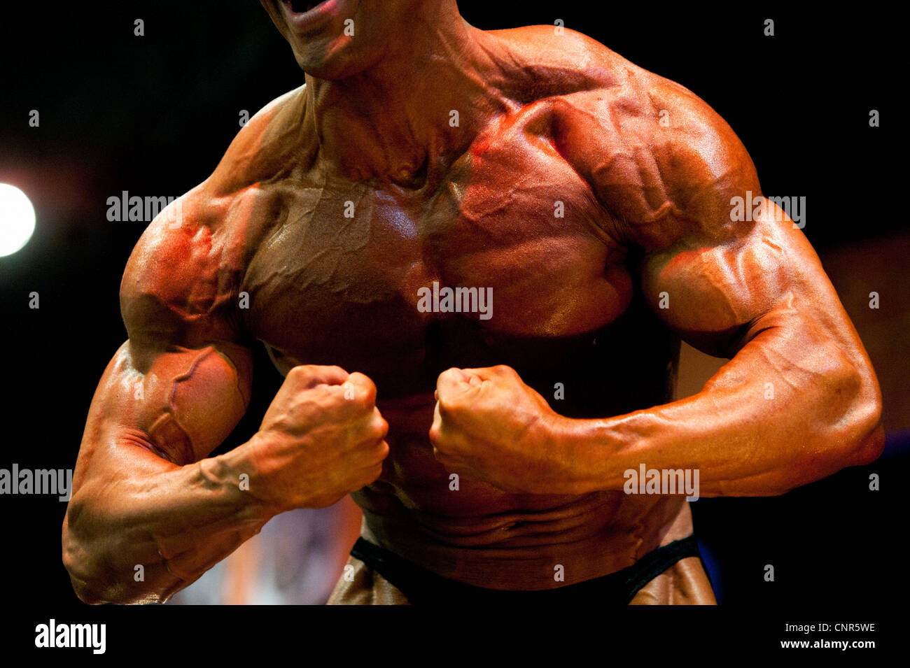 Detail von einem männlichen Bodybuilder während der Fitness-Messe FIBO in Essen, Deutschland, 2012. Stockfoto