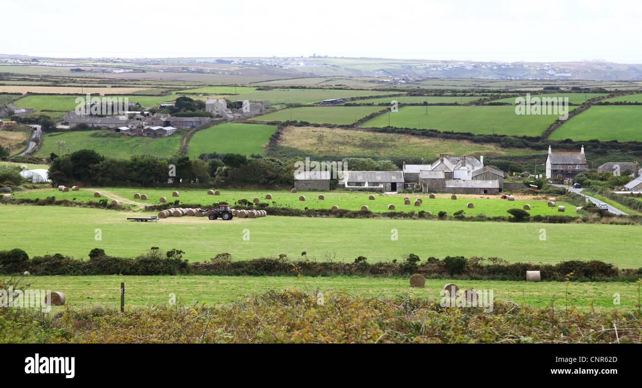 Heuballen in den grünen Feldern rund um St. Just, Cornwall, England, UK Stockfoto