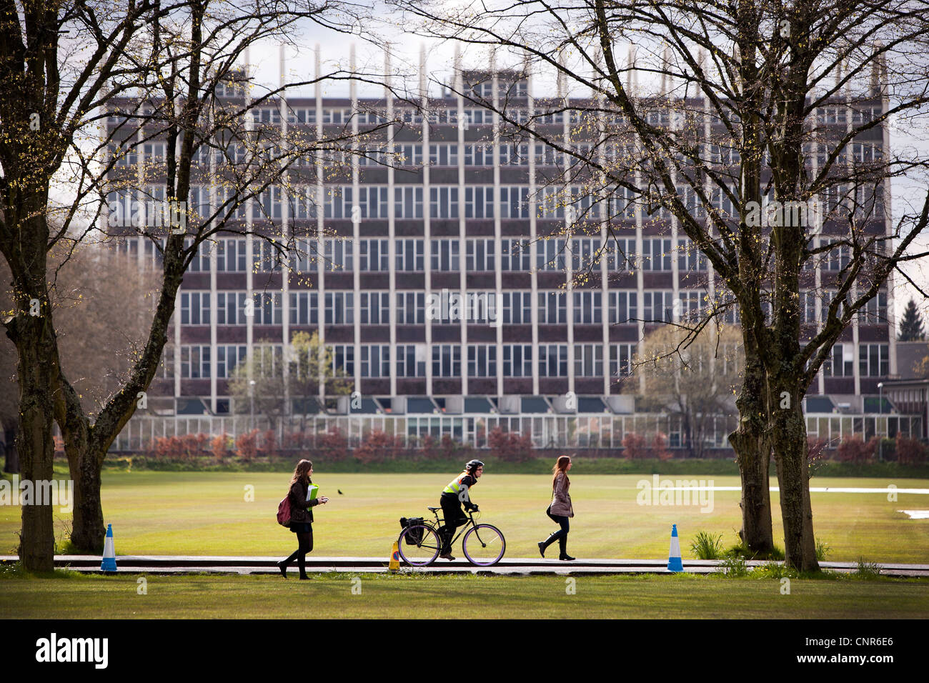 Das Toastbrotständer Gebäude auf Hollings Campus der Manchester Metropolitan University Stockfoto