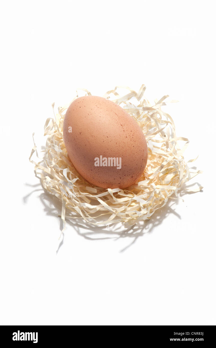 Ein Hühnerei auf ein Papier Stroh-nest Stockfoto