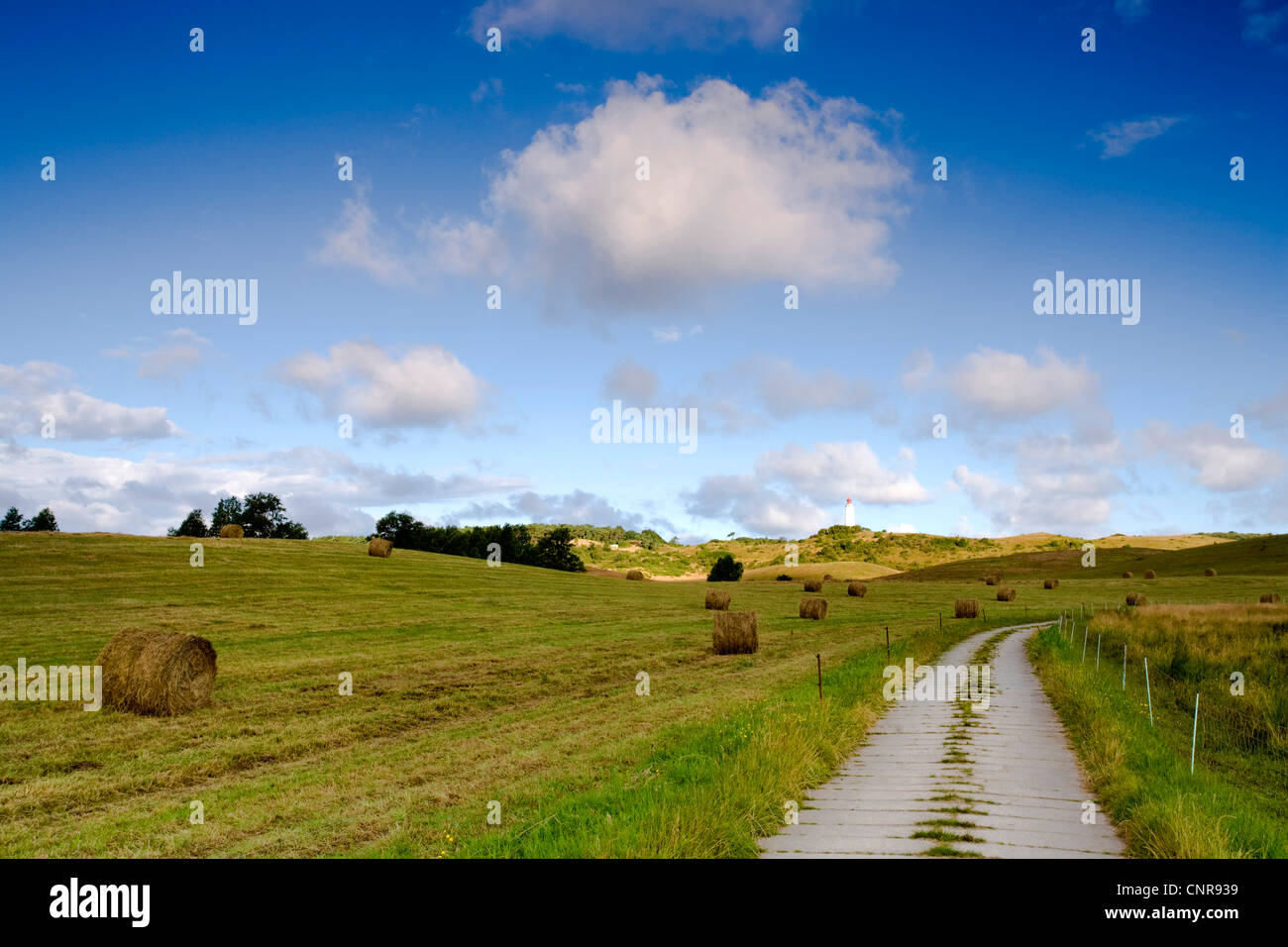 geerntete Felder mit Ballen Stroh und Feld Path, Deutschland, Mecklenburg-Vorpommern, Hiddensee Stockfoto