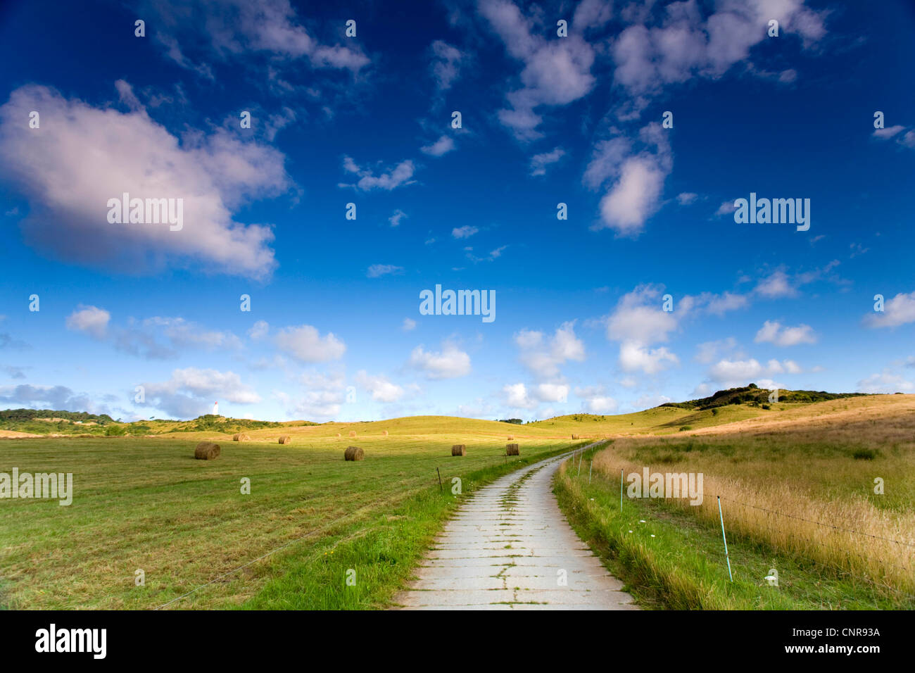 geerntete Felder mit Ballen Stroh und Feld Path, Deutschland, Mecklenburg-Vorpommern, Hiddensee Stockfoto