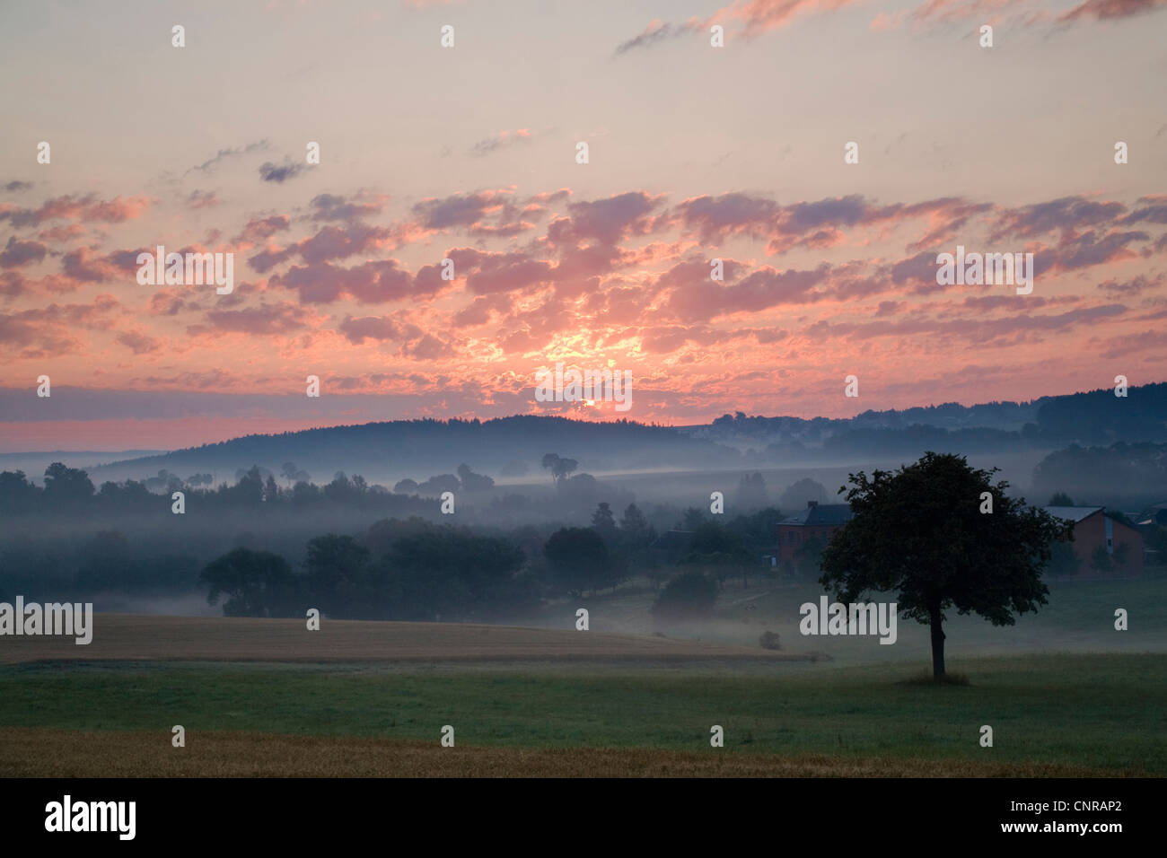 Sonnenaufgang an einem nebligen Morgen, Deutschland, Sachsen, Vogtlaendische Schweiz Stockfoto