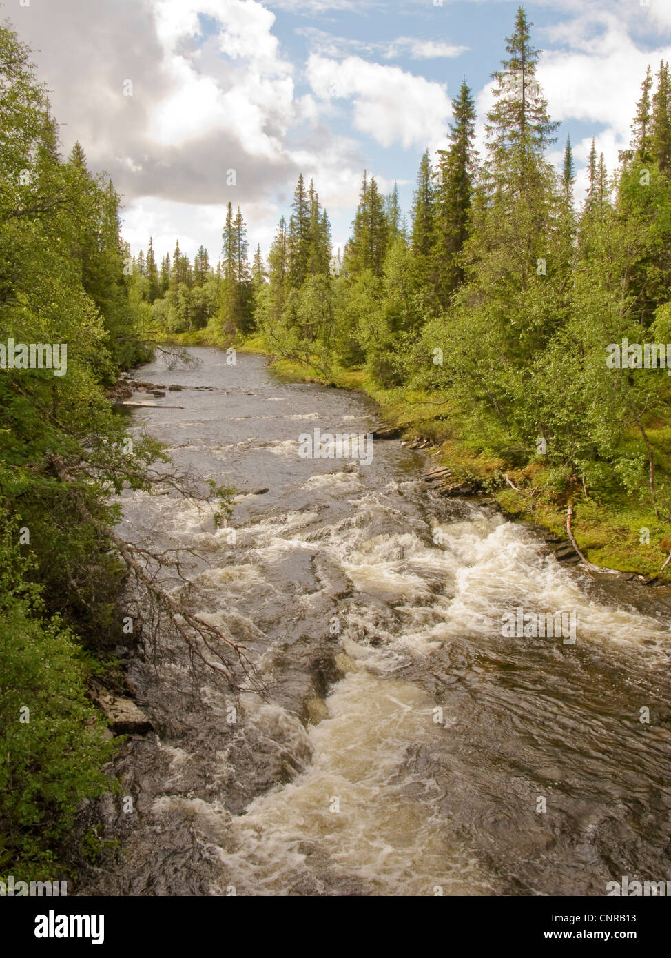 Flusslandschaft im mittleren Schweden, Schweden Stockfoto