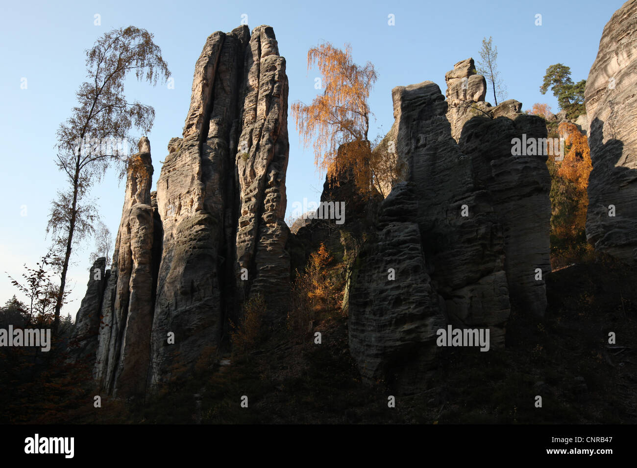 Prachover Felsen in das Landschaftsschutzgebiet Böhmisches Paradies in Mittelböhmen, Tschechien. Stockfoto