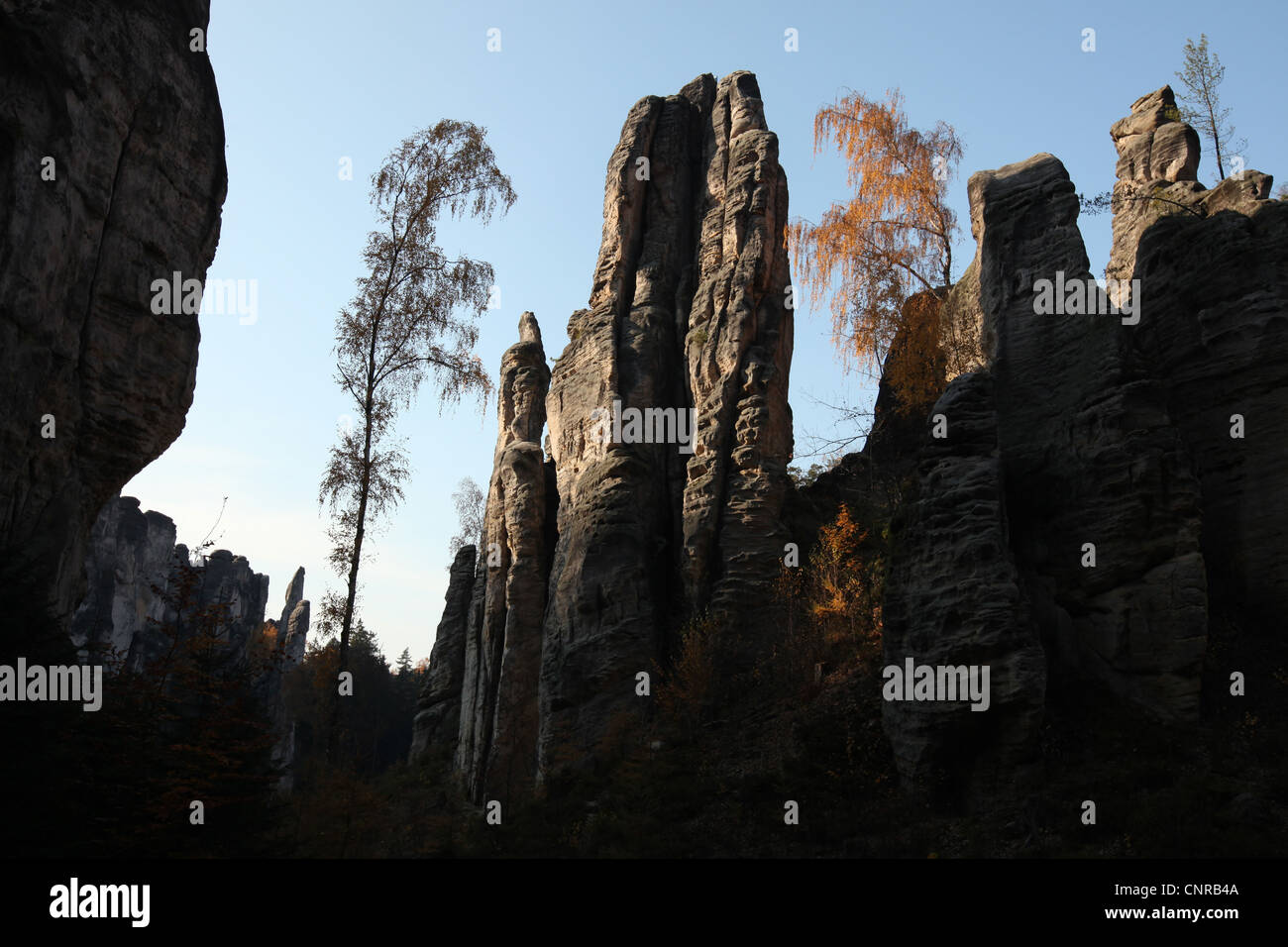 Prachover Felsen in das Landschaftsschutzgebiet Böhmisches Paradies in Mittelböhmen, Tschechien. Stockfoto