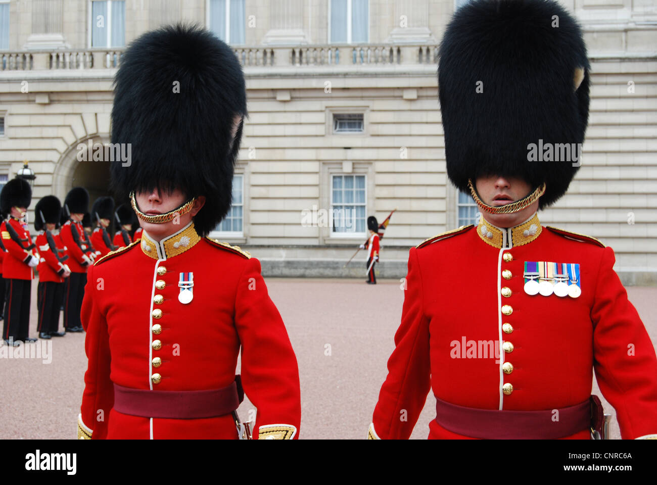 London, die Wachablösung am Buckingham Palace Stockfoto