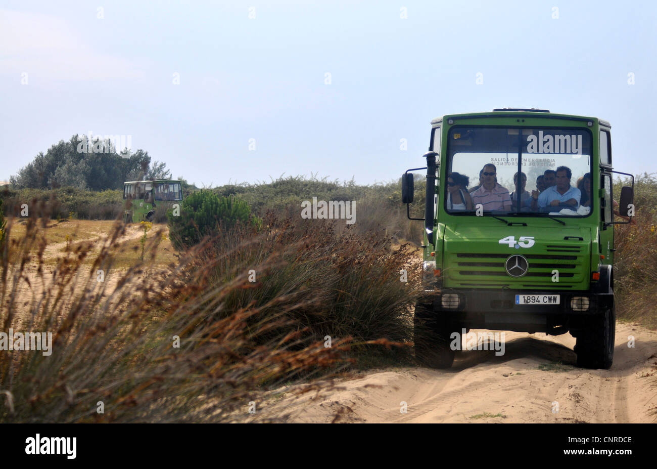 Off-Road Tour am Cota Donana Nationalpark, Spanien, Andalusien, Cota Donana Nationalpark Stockfoto