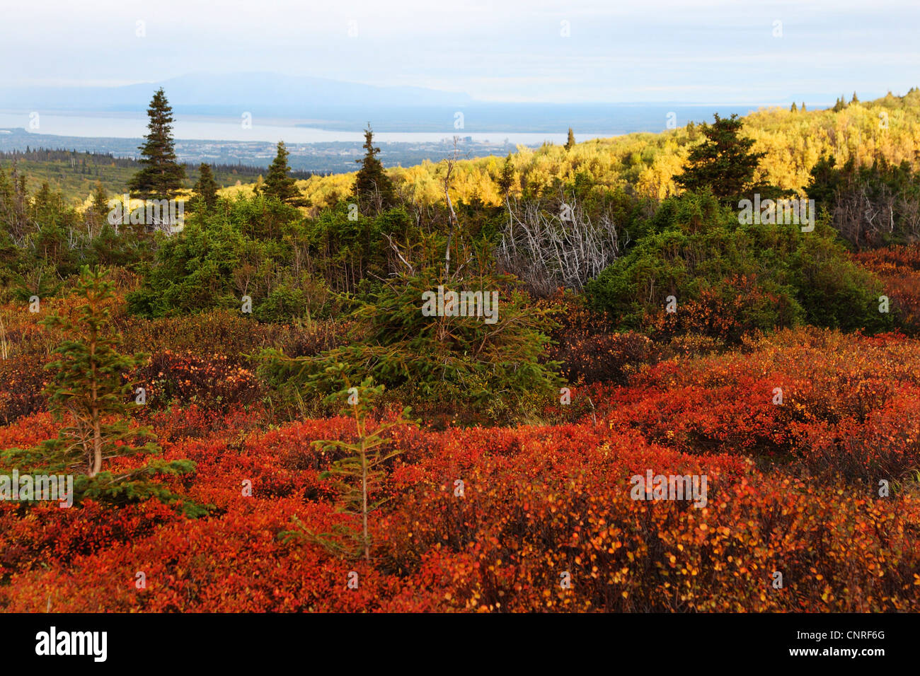 Landschaft von Alaska im Herbst, USA, Alaska, Chugach State Park Stockfoto