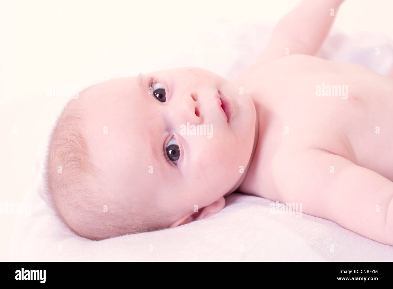 Baby auf Rücken liegend, Blick in die Kamera Stockfoto Baby auf Rücken liegend, Blick in die Kamera Stockfoto