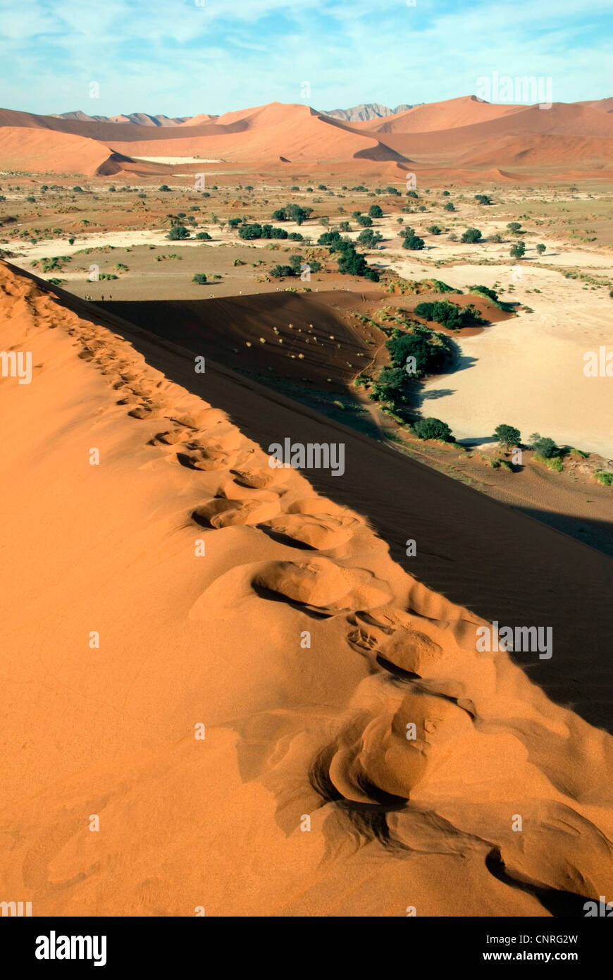 Namib Wüste; Dünen von Sossusvlei, Salz Kaution, Namibia Stockfoto