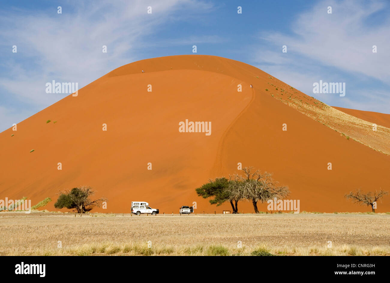 Namib-Wüste, Düne 45 in der Nähe von Sesriem, Namibia Stockfoto
