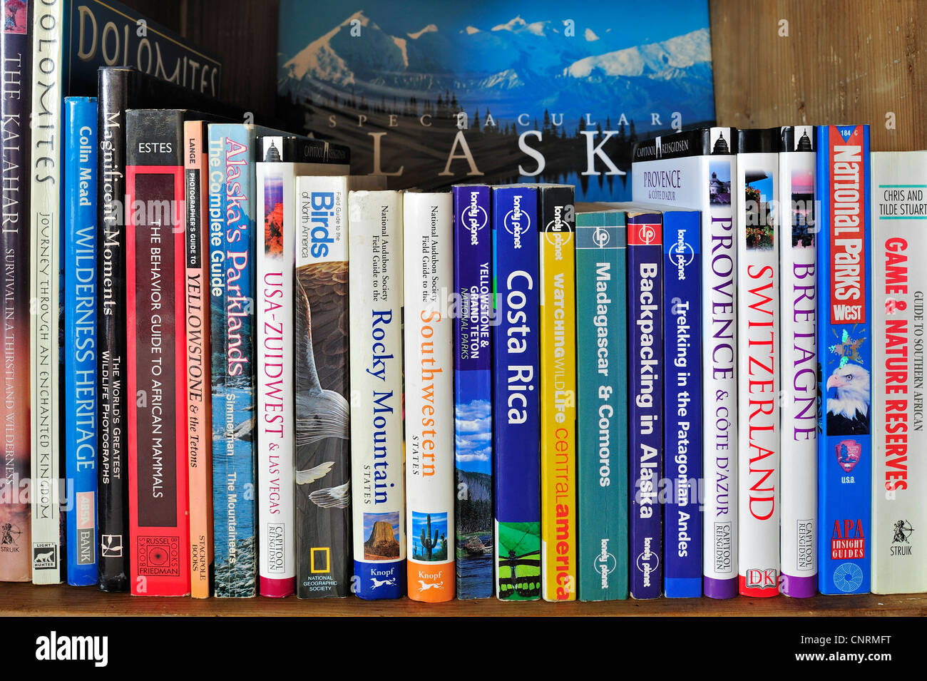 Kollektion zeigt Auswahl an Reiseführern und Reiseführern über weltweite Urlaubsziele auf einem Bücherregal Bücherregal Stockfoto