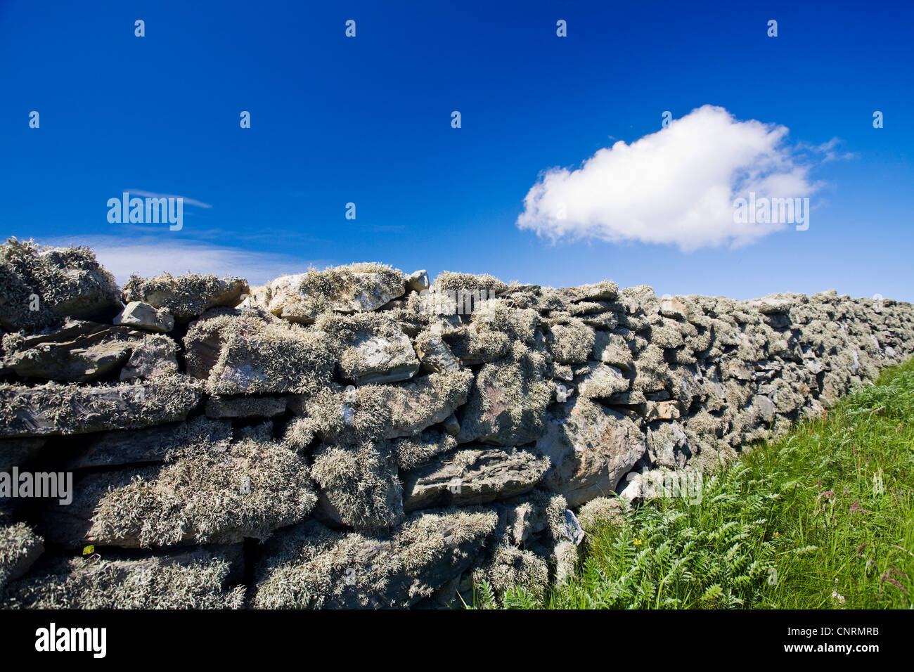 Wolke am blauen Himmel über eine Mauer, Fair Isle, Shetland-Inseln, Schottland, Vereinigtes Königreich Stockfoto
