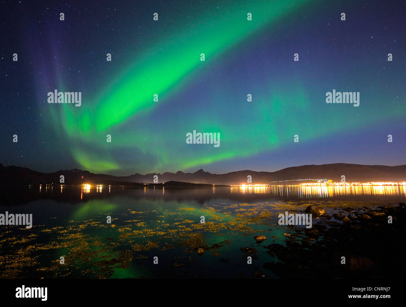 Polarlichter über Kvaloeysletta, Norwegen, Troms, Tromsoe Stockfoto