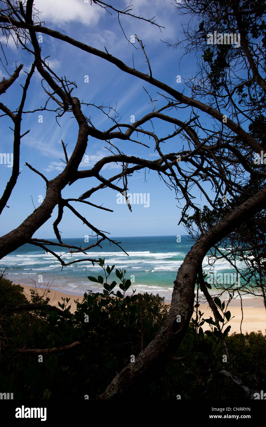 Blick auf Noetzie Strand von den Weg hinunter den Strand in Knysna, Westkap, Südafrika Stockfoto