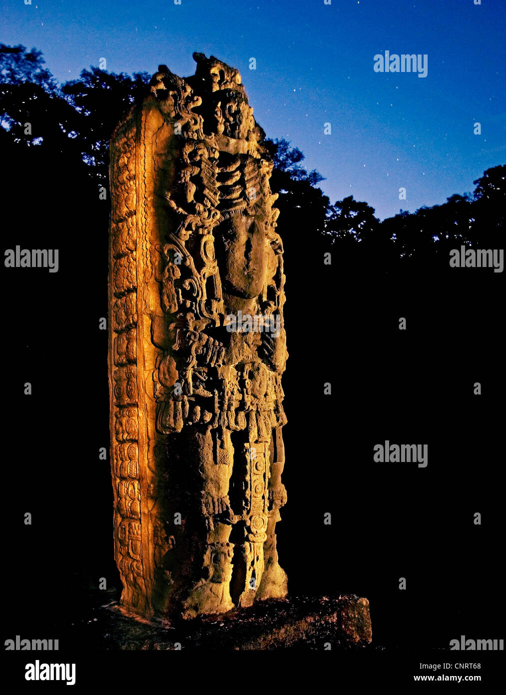 Stela 11 um die Maya-Stätte Copán, Darstellung Herrscher 18 Kaninchen, beleuchtet von einer Taschenlampe. Stockfoto