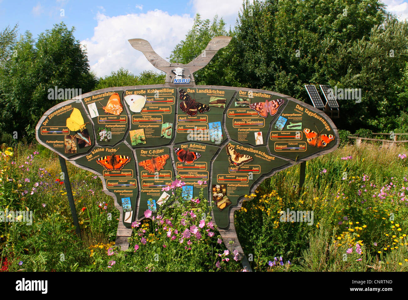 Schmetterlingsgarten Deutschland Stockfoto Bild 47852825 Alamy