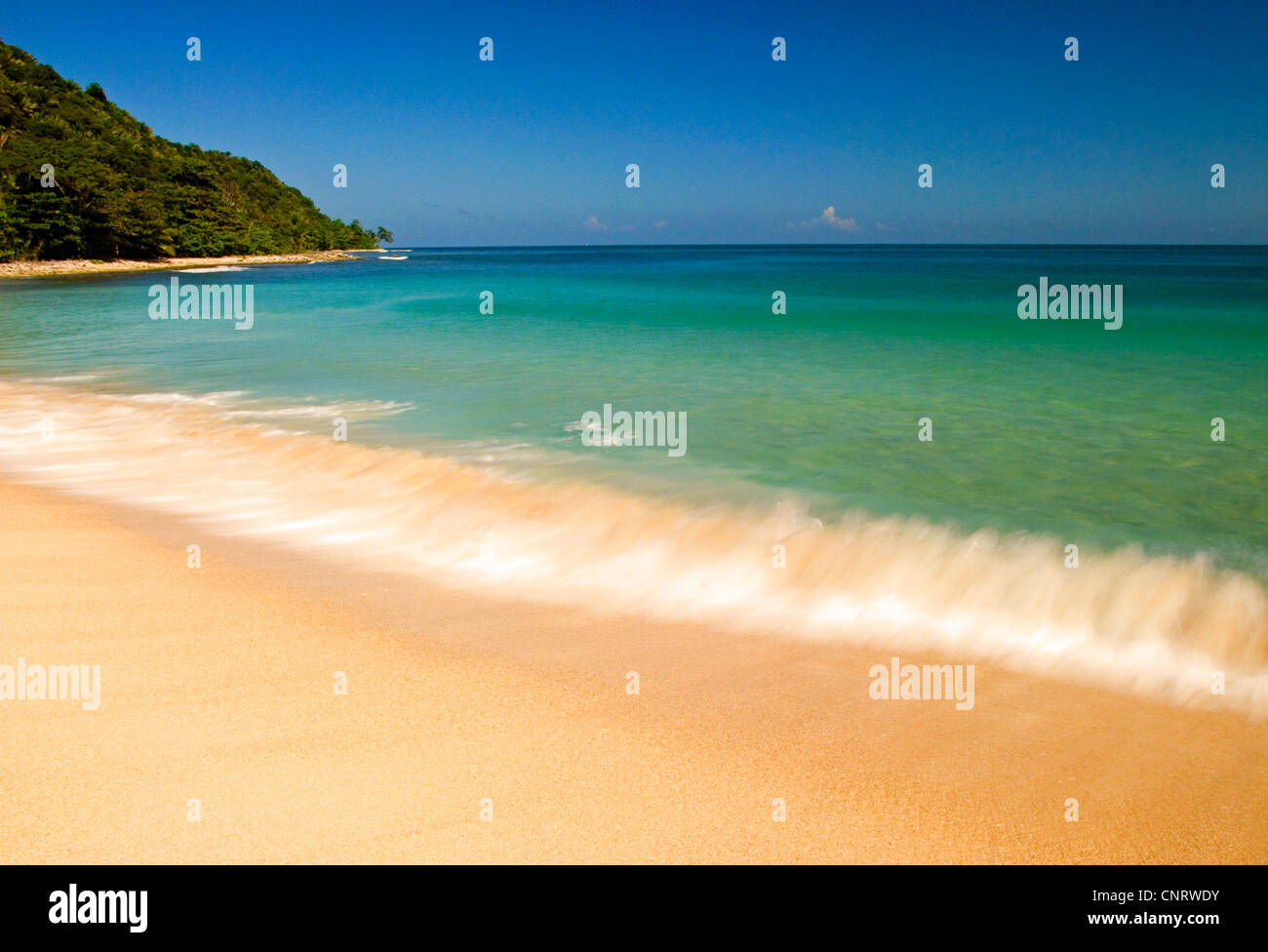 Der Strand bei Jeanette Kawas National Park. Stockfoto