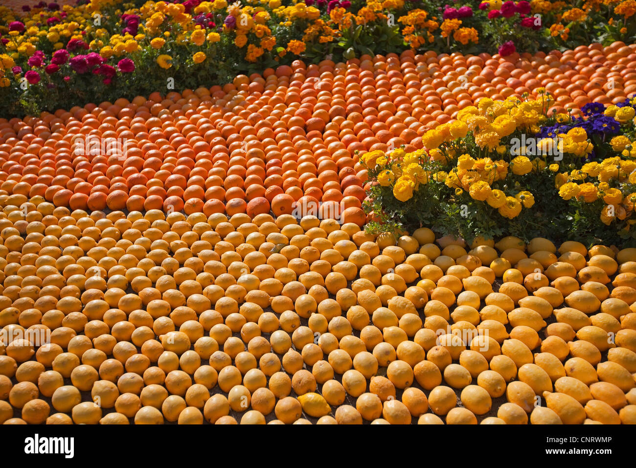 Orangen und Zitronen angezeigt machen Muster auf Zitrone Festival 2012 in Alpes-Maritimes Menton Frankreich 125121 Menton Zitrone Stockfoto