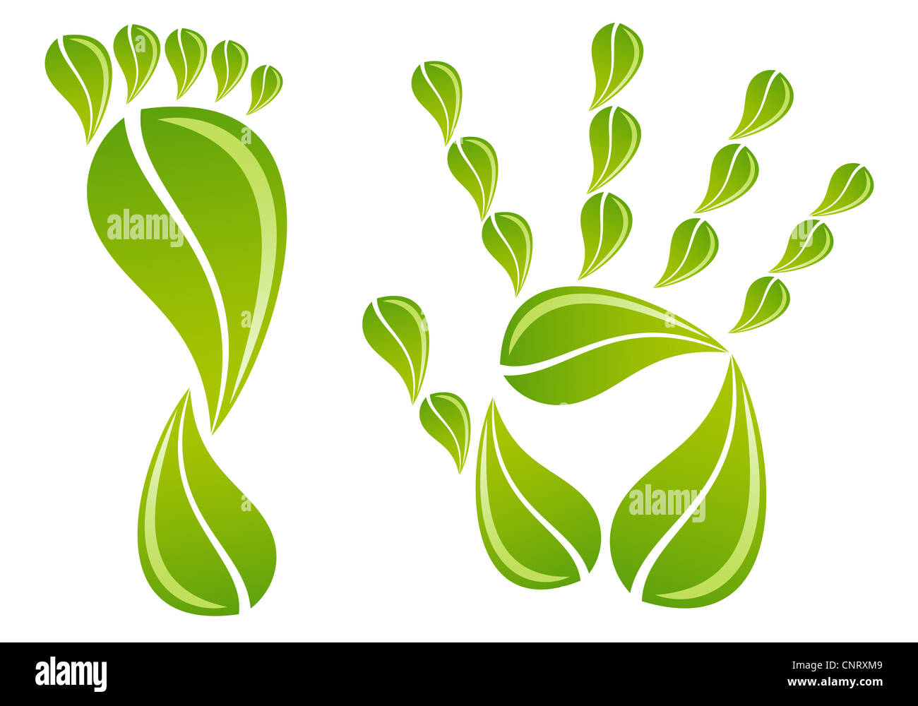 Hand-und Fußmassage mit grünen Blättern, Vektor-Hintergrund Stockfoto
