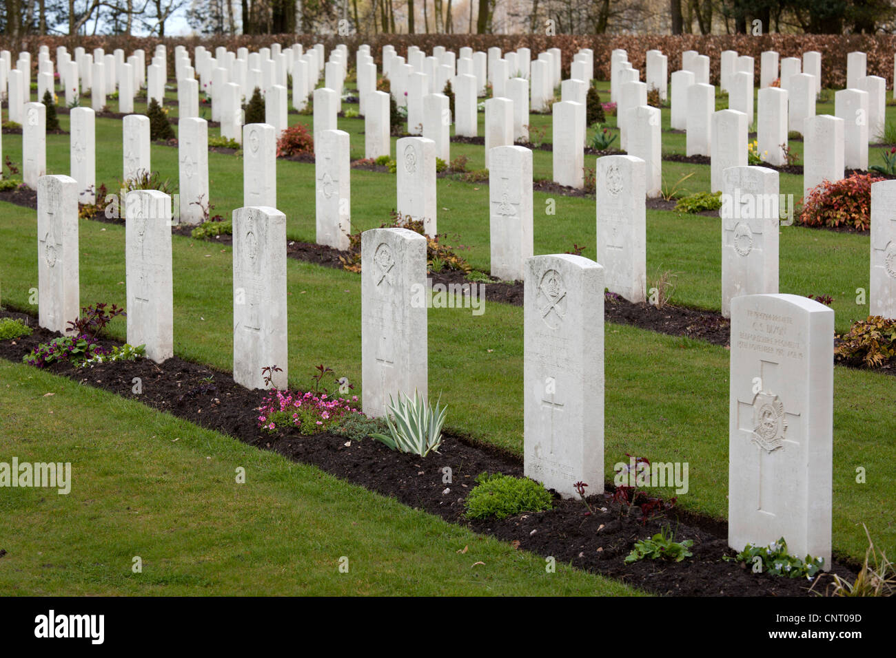 Commonwealth Kriegsfriedhof, Cannock Chase, Staffordshire. Stockfoto