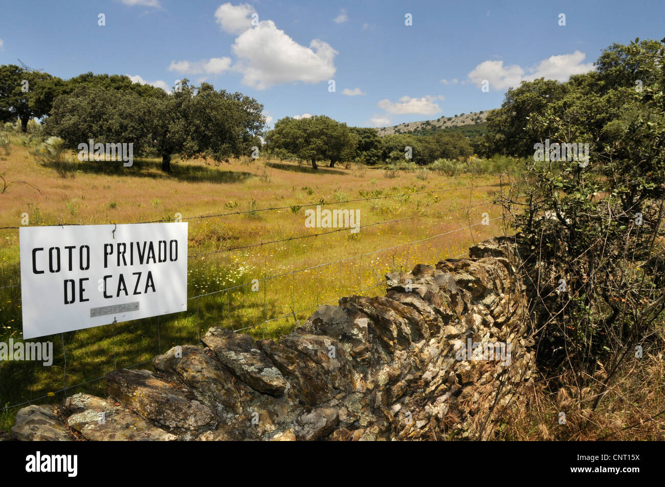 kein Eintrag Zeichen ein Olivenöl Feld im Nationalpark Extremadua, Spanien, Monfrague Stockfoto