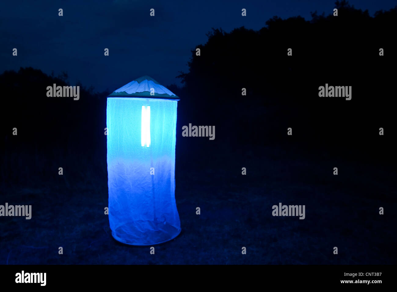 Lichtfalle für Motten und andere Nacht aktiven Insekten Stockfoto