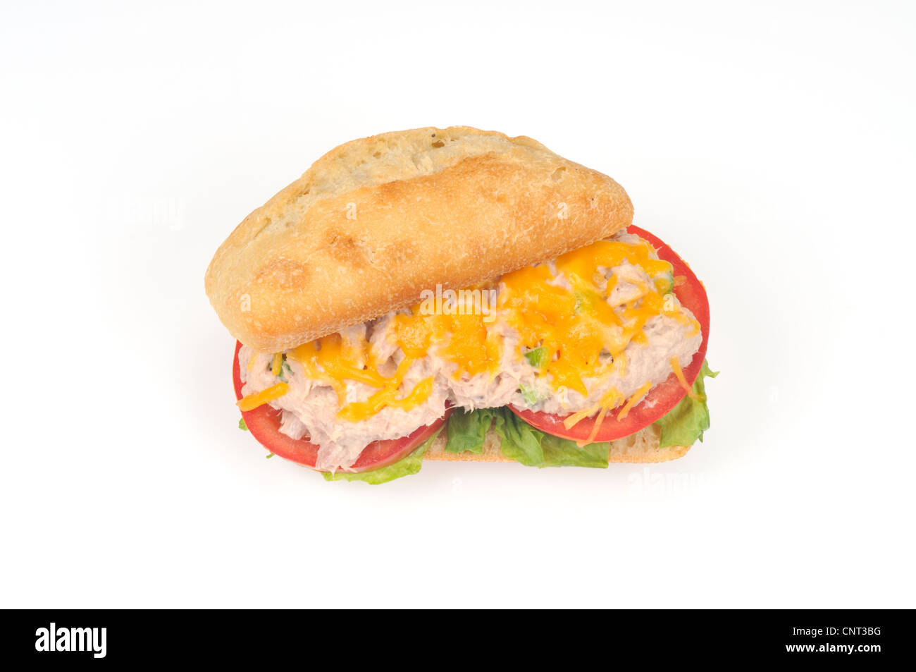 Thunfisch schmelzen Sandwich auf ein Ciabatta-Brötchen Stockfoto