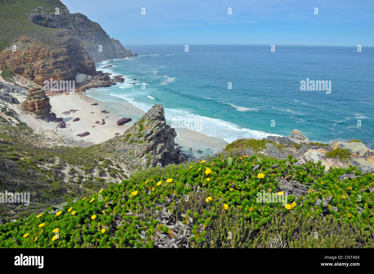 Dias-Beach und Cape Point, Südafrika, Südafrika, Westkap, Kap der guten Hoffnung Stockfoto