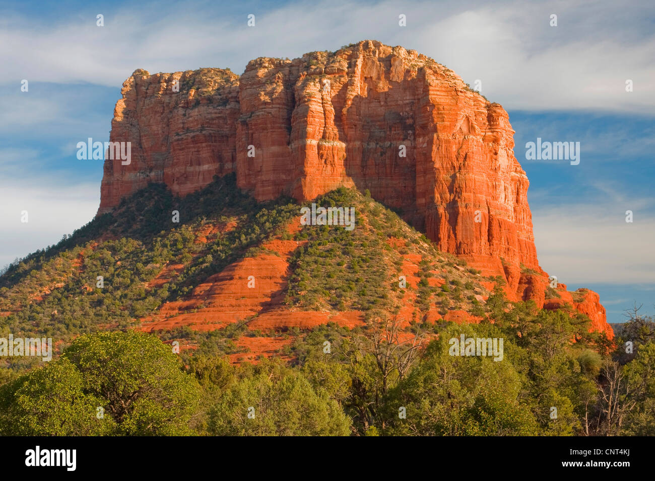 roten Felsen von Sedona, USA, Arizona, Colorado-Plateau, Sedona Stockfoto